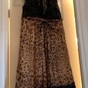 Dolce & Gabbana EUC  animalier leopard print dress Photo 3