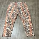 Evolution and creation  EUC capri leggings Photo 1