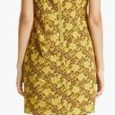 Ted Baker NWOT  Ondina Mini Dress TB 6 US 14 Photo 1