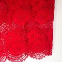 Alexis Red Floral Lace Crochet Midi Dress Photo 7