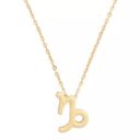 🆕Capricorn Zodiac Astrology Pendant Necklace Gold Photo 1