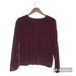 Eileen Fisher EILEEN FISHER Burgundy Red Velvet V-Neck Top Blouse Boxy Silk Dolman Size Large Photo 2