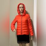 Burberry  Blue Label Women's Orange Puffer Jacket Photo 3