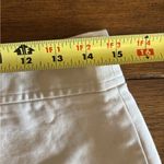 Banana Republic Pencil Skirt Khaki Size 8 Back Zipped Back Slit Knee Length Photo 4