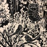 HD in Paris ‎ front ruffle blouse with trees & birds owls size 2 Photo 6