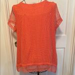 JM Collection 🔺🔺🔺BOGOHO 🔺🔺🔺Chic Coral Mesh Blouse with Elegant Design Photo 7