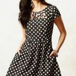Maeve Anthropologie Aria Polka Dot Dress Size 2 Seen on Glee TV Photo 2