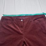 Eileen Fisher  Maroon Velveteen Pants Photo 5