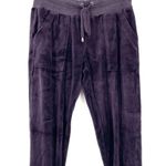 Splendid  Purple Velour Jogger Cinched Ankle Pants Photo 2