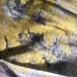 Zimmermann NWOT  botanica silk dress Photo 11