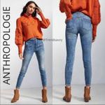 Pilcro  Anthropologie Darted High Rise Skinny Jeans Size 26 Photo 1