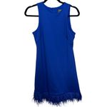 Taylor Sleeveless Mini Dress Feather Hem Zip Back Photo 1