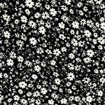 Cupshe  Black and White Floral Tie Cover Up Dress Photo 2