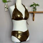 Venus  Shimmering Bronze Metallic Goddess Push-Up Halter Top and Havana Bottoms Photo 1