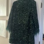 NWT J.Marie Selena Sequin Feather Sleeve Dress Size Small Green Photo 3