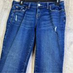 Aeropostale  Skinny Distressed Size 8 Regular Straight Leg Jeans w/5 Pock… Photo 2