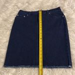 J. McLaughlin  Richmond Skirt Jeans size 4 brand new  two front pockets Photo 9