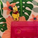 Disney Winnie the Pooh pin hundred acre wood Photo 3