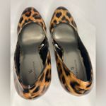 Worthington Woman  Dress Shoe Paten Leopard 4 Inch Heels Pumps Size 7.5 Photo 4