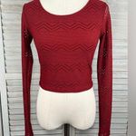 Forever 21  Cropped Mesh Long Sleeve Tee Burgundy-Small Photo 0