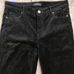 Well Worn NWT  Ladies High-Rise Velvet Tapered Pants Photo 1