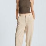 Everlane The Relaxed Chino in Buttersoft Barrel Pant in Parchment 10 Photo 8
