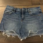 Hudson Jean Shorts Photo 0