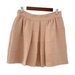 BCBGeneration Dark Buff Pleated Full Mini Skirt Size 10 Photo 0