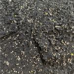 Tory Burch RARE  Size 6 Silk Blazer Textured Petals Hook Eye Jacket Logo Planets Photo 2