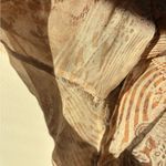 Ice Y2K Sheer Lightweight Flowy Sleeve Top Tan Photo 6