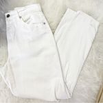 Pistola Relaxed Jeans Distressed Size 27 Photo 2