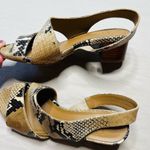 Aquatalia Women's Slingback Snake Print Sandal Multicolor Brown Black Size 5 Photo 6