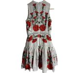 Alexis  Blossom White Red Floral Embroidered A-Line Sleeveless Mini Dress Sz S Photo 13
