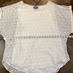Joseph A . White Cuffed Short Sleeve Blouse Size 1X Photo 4