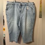 Lane Bryant Elastic Back Photo 1