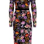 Nicole Miller  Black Floral Applique Mesh Dress Size 2 Photo 0