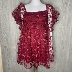 Thirty thirty Allison & Kelly Long Sleeve 3D Butterfly Mesh Mini Dress xs spring Red Photo 2