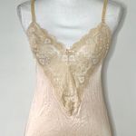 Vassarette Vintage Nude Slip Photo 1