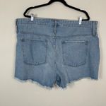 Madewell Woman's Sz 35 Relaxed Denim Shorts in Dunwoody Wash High Waisted Photo 8