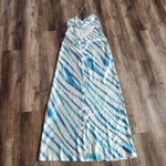 Retrofete Amika Dress in Blue Zebra Size XL Maxi Sleeveless Silk Photo 5