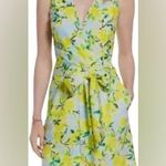 1901 NWOT Lemon print linen dress Photo 0