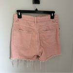 ZARA  High Rise Pink Distressed Women's Shorts- Size 4 Photo 2