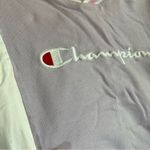 Champion ✨  Women’s Purple Color Block Crop Top Small Photo 4