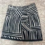 Ann Taylor Zebra Black & White Stripe Lined Skirt Photo 1