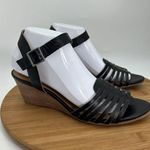 Susina Women's Black Gladiator Ankle Strap Terra Wedge Sandal 9 Photo 11