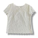 Loft  White Lace Blouse Medium Scallop Hem Short‎ Sleeve Crochet Top Ivory Photo 5