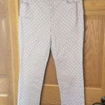 Charter Club  Lexington Straight Floral Print Blue Jean Cut Pants, Size 16 Photo 0
