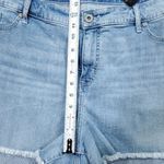 Torrid READ 3.5" Vintage Stretch High Rise Raw Hem Jean Shorts Plus Size 26 Photo 11