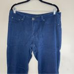 a.n.a  Navy Blue Butter Jeggings, Size 12 (fits like a 14) Photo 1