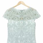 Tadashi Shoji Mint Green Lace Cap Sleeve Dress Size 12 Embroidered Cocktail Photo 5